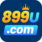 899u Game