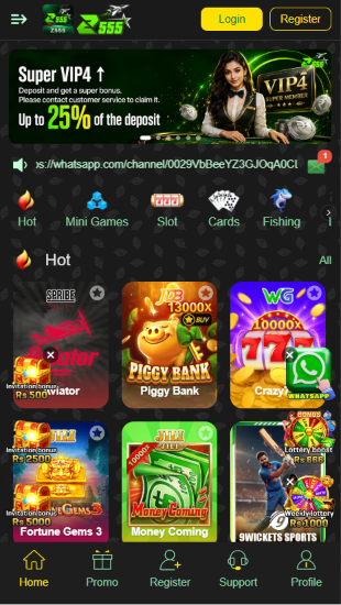 Z55 Game